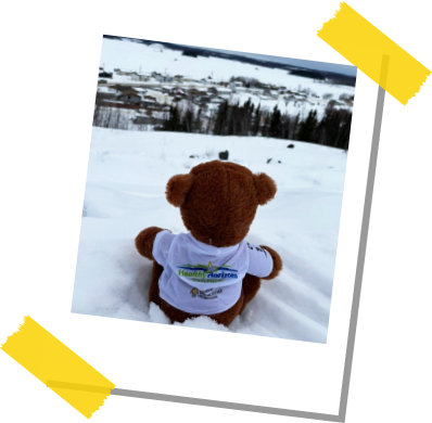 Northy sitting in the snow overlooking the trees
